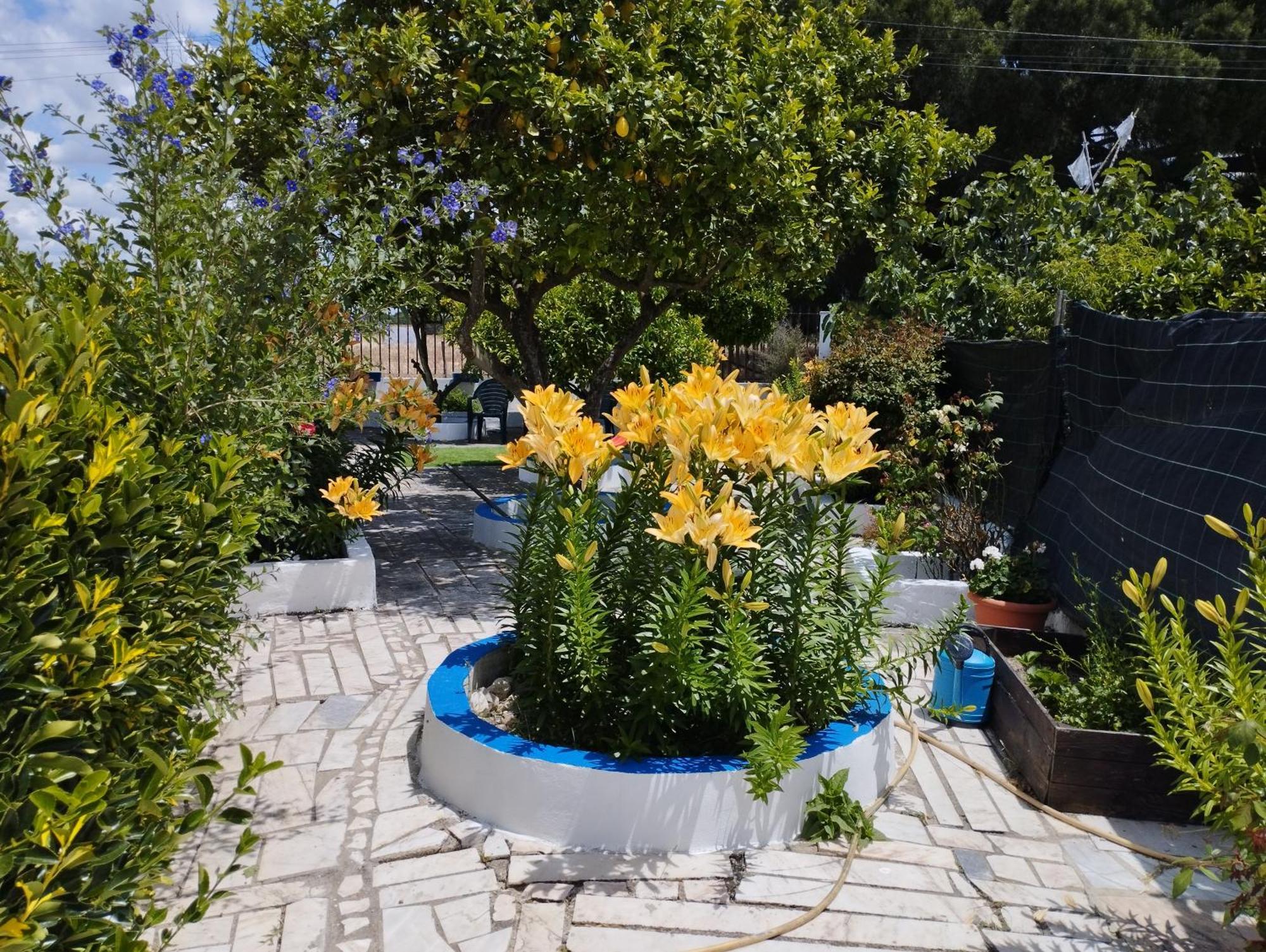 Monte Sol Nascente Villa Grandola Exterior photo