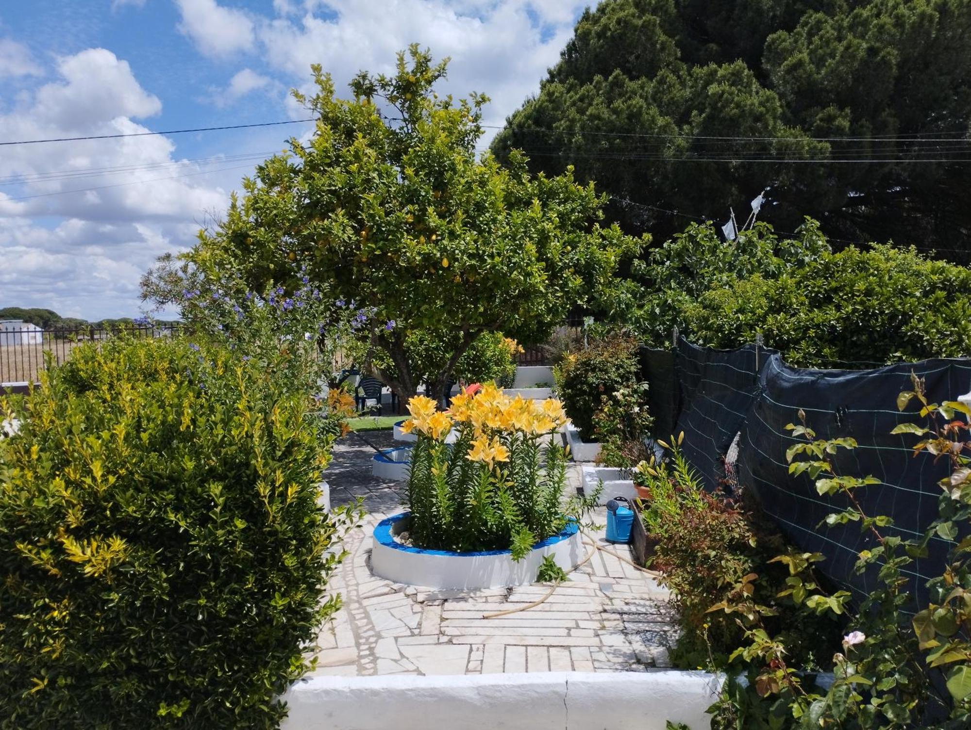 Monte Sol Nascente Villa Grandola Exterior photo